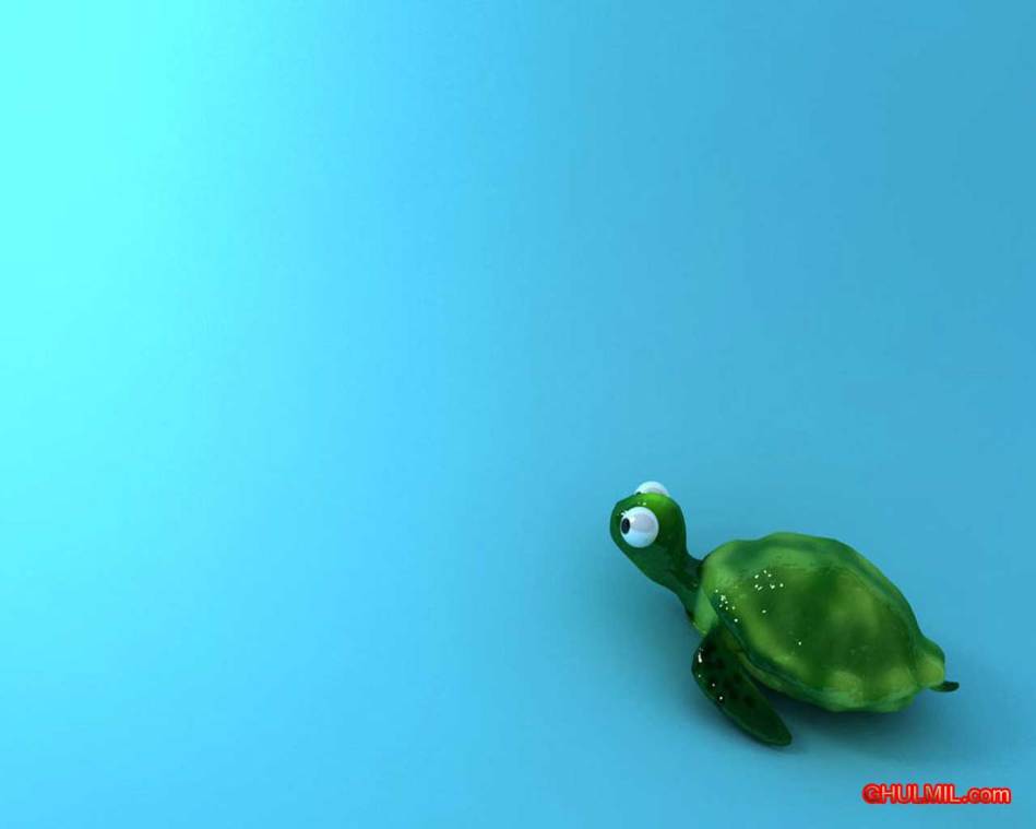 funny animals wallpapers for desktop. cute-turtol-wallpaper-desktop-